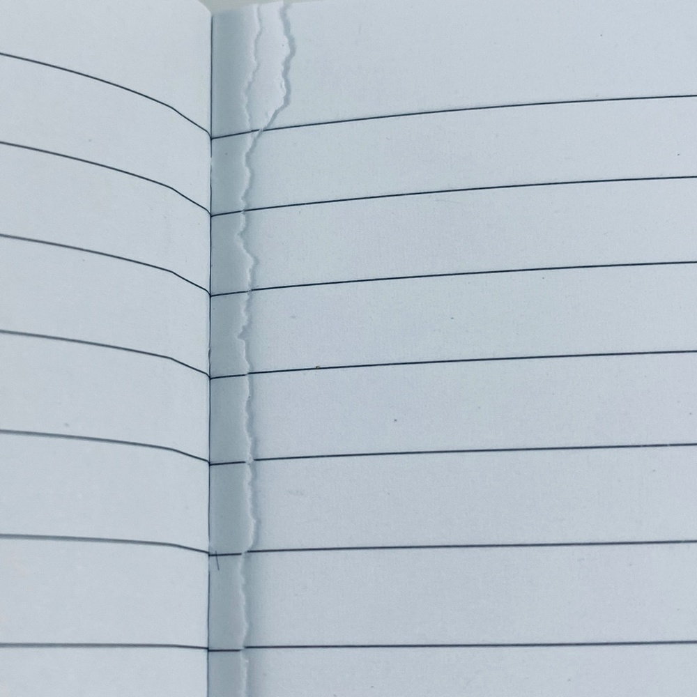 Graphique de France FlorL Notebook - Picture 5 of 5